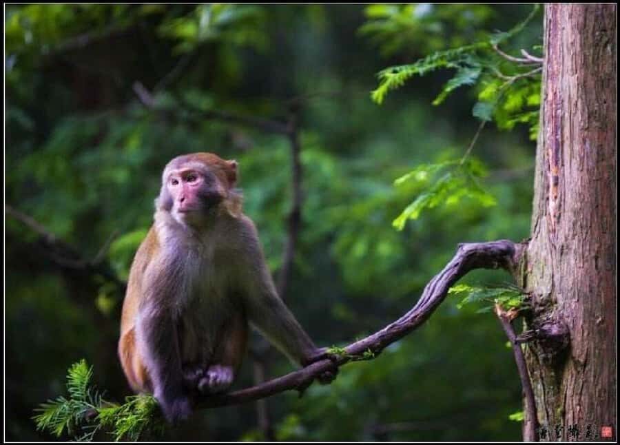 Zhangjiajie: Glass Bridge & Avatar Scenery Day - Pricing and Value