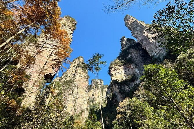Zhangjiajie National Forest Park Admission Ticket - Is This Ticket Experience Worth It?