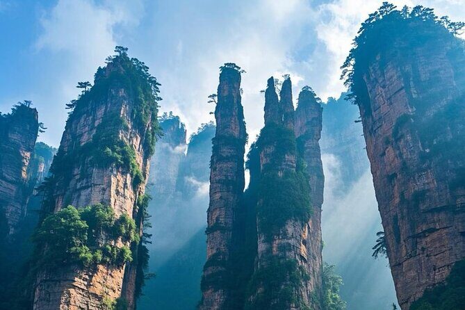 Zhangjiajie National Forest Park One-Day Tour - Authentic Insights from Other Travelers