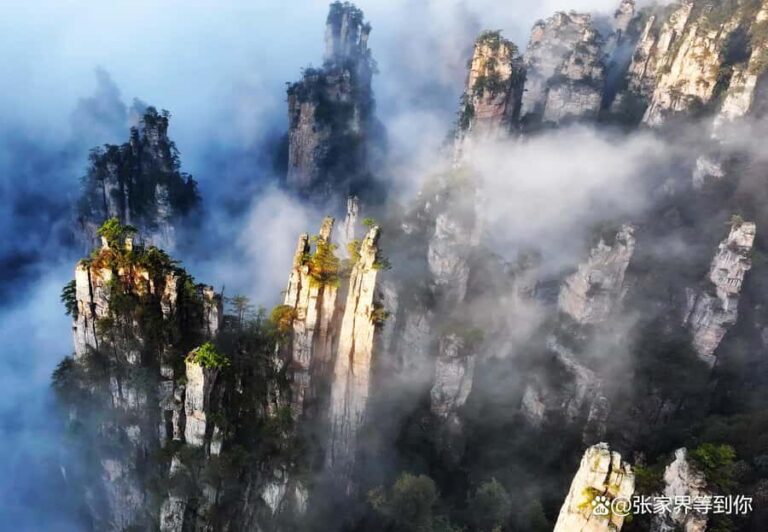 Zhangjiajie Private Tour MT.Avatar or Furong+Fenghuang town - Analyzing the Value
