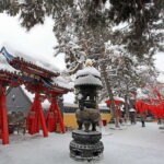 Zhengzhou: Shaolin Temple and Mt. Song Private Day Tour - Breaking Down the Itinerary: What You’ll Experience