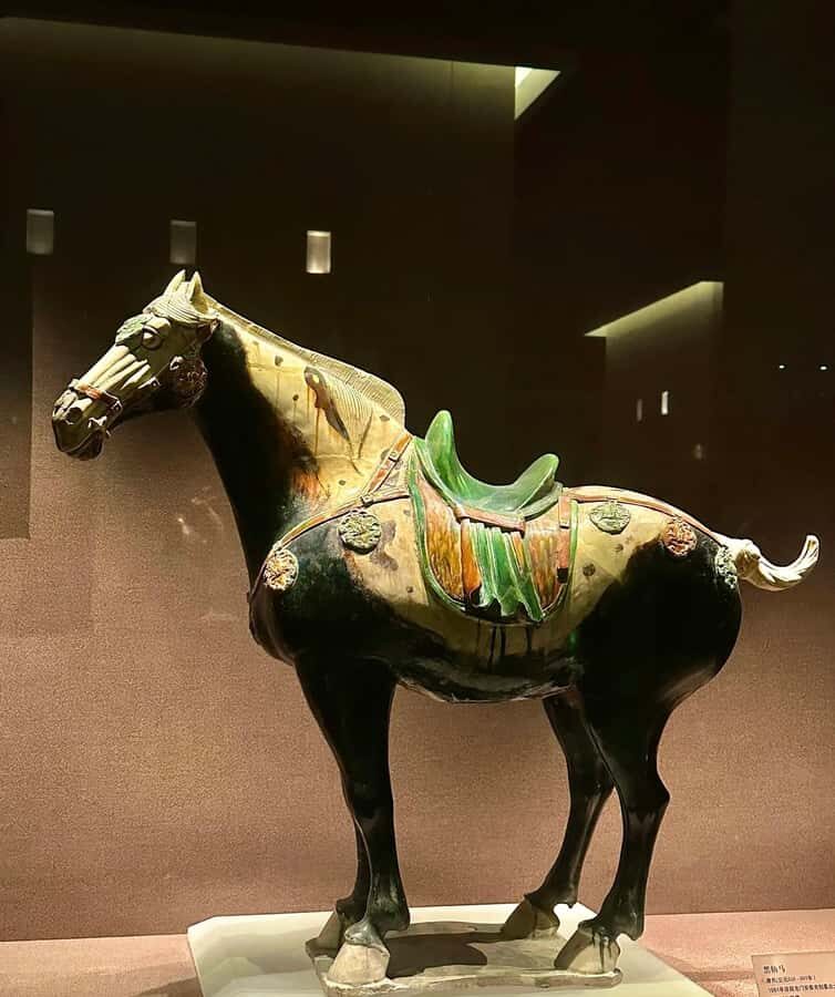 Zhengzhou to Luoyang: UNESCO Grottoes, Museum & Old Town - Overall Experience and Suitability