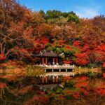 Zhongshan Botanical Garden Entry Ticket - Exploring the Itinerary: What to Expect from Your Day