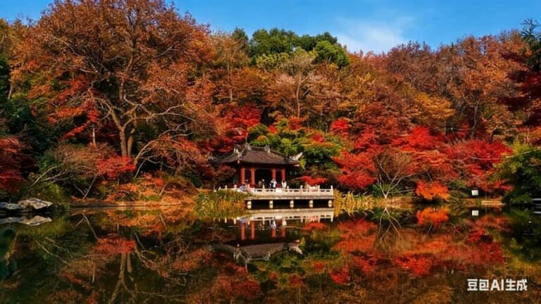 Zhongshan Botanical Garden Entry Ticket - Exploring the Itinerary: What to Expect from Your Day