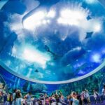 Zhuhai & Shenzhen: 4-Day Self-Guided Tour with Tickets - What Does the Tour Really Offer? An Honest Breakdown