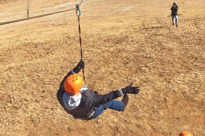 Zip Line Adventure at Terelj National Park - What to Expect from the Zip Line Adventure