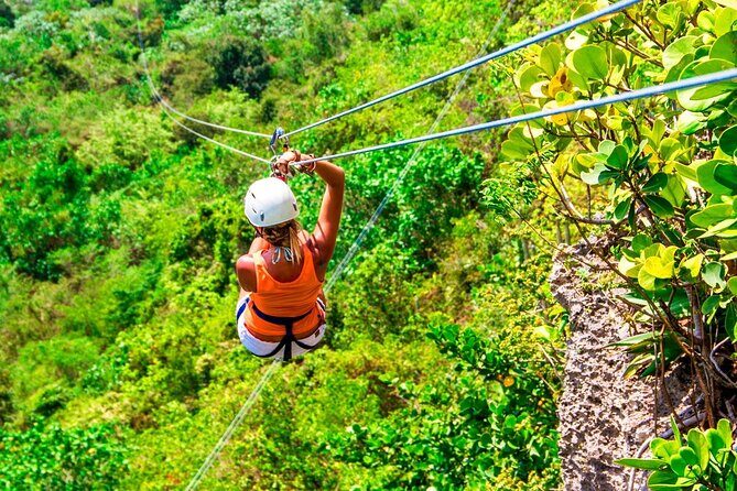 Zip Line Mountain Ride - Why This Tour Offers Great Value