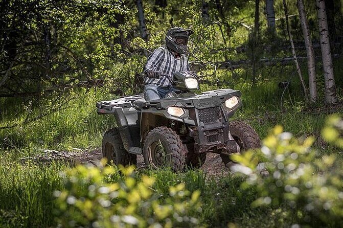 Zip-lining/Horseback Rides/Cat & Atv Inclusive Act with Transpo From Montego Bay - Final Thoughts: Is This Tour Worth It?