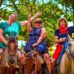 Zipline, Horse, Buggy and Macao Beach, Water Park with Lunch - What’s Included and What’s Not