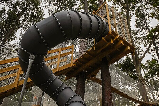 Zipline over the Heysen Trail & Through the Pines of Kuitpo - Pricing and Value