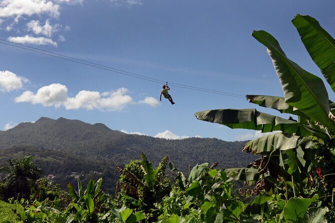 Ziplining at the Rainforest in Puerto Rico - Safety and Comfort