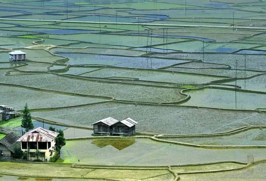 Ziro in a Day: Culture, Craft & Countryside Adventure Tour - What to Expect