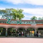 Zoo Negara and Panda Conservation Centre Tickets - Exploring Zoo Negara: A Natural Sanctuary in the Heart of Kuala Lumpur