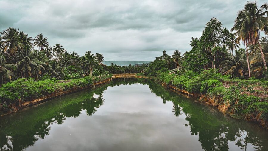 Tropical river with reflective water
