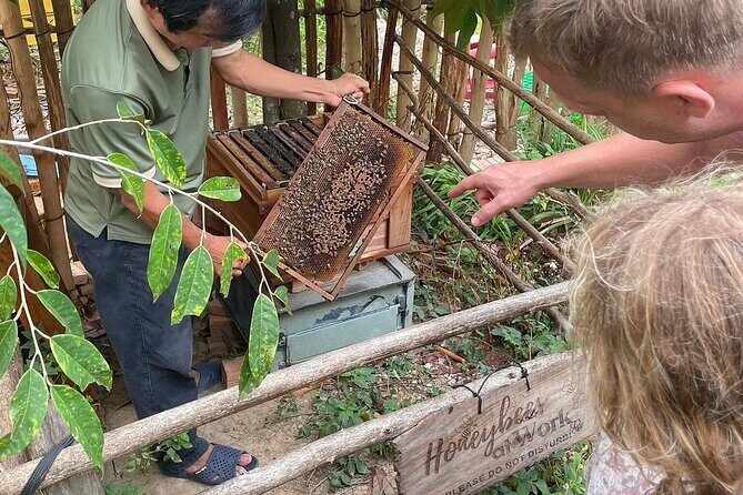 1-Day Northern Islands & Kayak Experience Tour - Why This Tour Works and Who It’s Best For