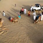 1 night 2 days Thar Desert Experience Jaisalmer - Good To Know