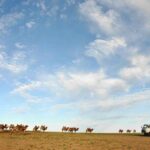 12 Days Gobi Desert and Express Mongolia - Practical Details and What You Should Know