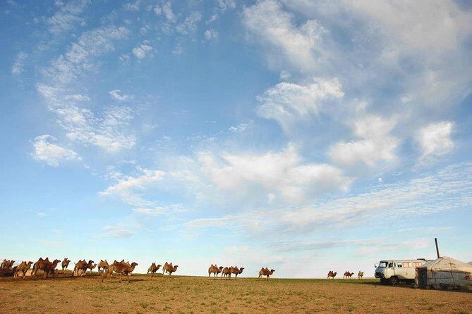 12 Days Gobi Desert and Express Mongolia - Practical Details and What You Should Know