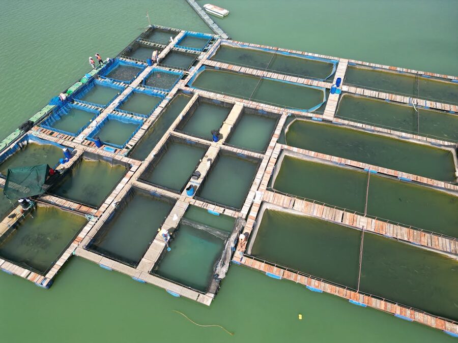 Floating fish farm pens