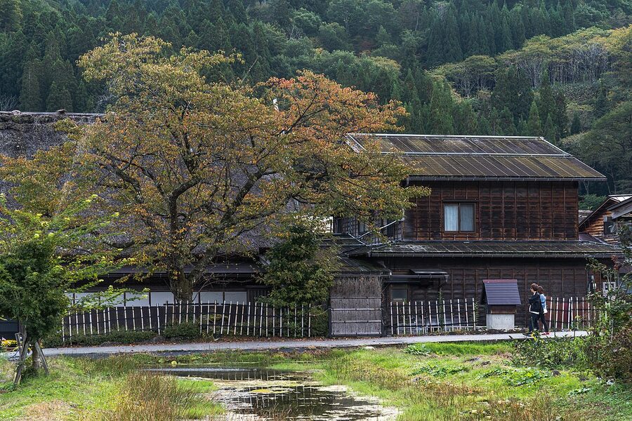 Gassho-zukuri houses surrounded by farmland with autumn foliage in Shirakawa-go