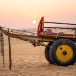 14 Days of Private Experience Across Royal Rajasthan - A Detailed Breakdown of the Itinerary