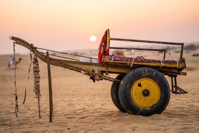 14 Days of Private Experience Across Royal Rajasthan - A Detailed Breakdown of the Itinerary