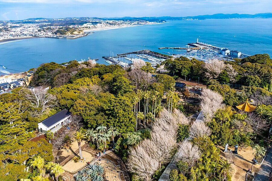 Samuel Cocking Garden on Enoshima, seen from the Sea Candle observation deck