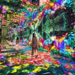 2 Day 1 Night Fukuoka Huis Ten Bosch Ticket Hotel and Transport - Overview of the Tour Experience