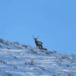 2-Day Elsen Tasarhai/Sand Dune hills & Nomadic Experience - Practical Considerations and What to Pack