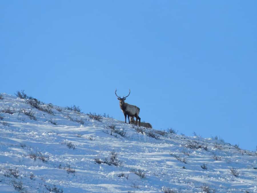 2-Day Elsen Tasarhai/Sand Dune hills & Nomadic Experience - Practical Considerations and What to Pack