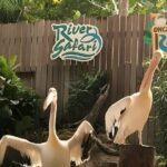 2 Day Mandai Wildlife Reserve Singapore with Roundtrip Transfer - Transportation and Logistics