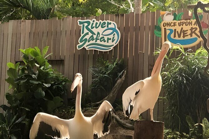 2 Day Mandai Wildlife Reserve Singapore with Roundtrip Transfer - Transportation and Logistics