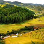 2 Days Mai Chau Classic Group Tour - Transportation, Comfort, and Group Dynamics