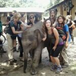 2 Night Jungle Safari Tour in Chitwan National Park - Who Will Benefit Most?