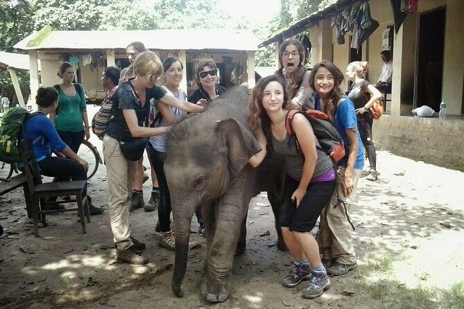 2 Night Jungle Safari Tour in Chitwan National Park - Who Will Benefit Most?