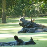 2 Nights 3 Days Chitwan National Park Package with Jeep Safari - Frequently Asked Questions