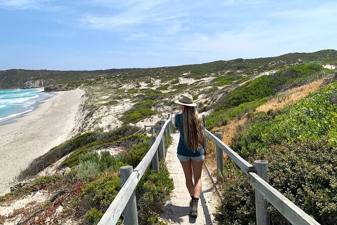 3-Day Kangaroo Island Adventure Tour - Day 2: Wildlife, Iconic Landmarks, and Rugged Landscapes