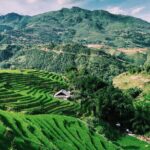 3-Day Sapa Adventure: Trekking Terraces and Hill Tribe Villages - Who Is This Tour Best For?