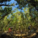 3 Day Shuttle MTB Weekend Adventure in Nelson - The Practical Side: Price, Duration, and Suitability