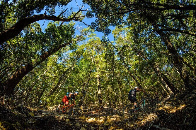 3 Day Shuttle MTB Weekend Adventure in Nelson - The Practical Side: Price, Duration, and Suitability