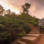 3 Nights 4 Days Private Sri Lanka Safari Tour with Star Hotel - Why This Tour Works Well