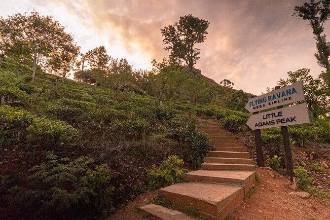 3 Nights 4 Days Private Sri Lanka Safari Tour with Star Hotel - Why This Tour Works Well