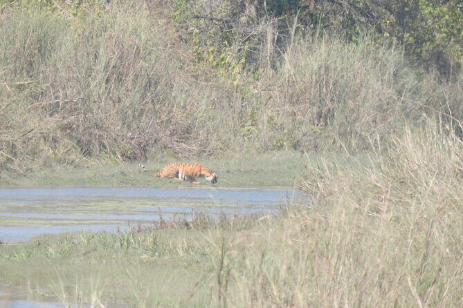 3Nights 4Days Bardiya Tiger Tracking Tour on Foot - All Inclusive - Why This Tour Offers Good Value