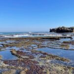 4 Day Mornington Peninsula Treks - Day 2: Coastal Clifftops and Beaches in Sorrento