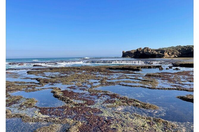 4 Day Mornington Peninsula Treks - Day 2: Coastal Clifftops and Beaches in Sorrento