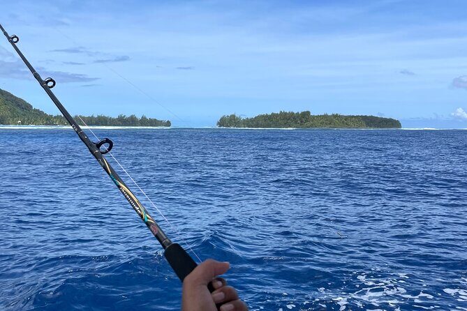 4 Hour Private Fishing Discovery Tour - What to Expect from the Tour