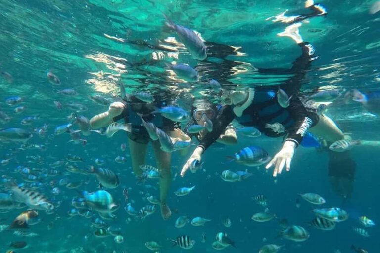 4 Spot Nusa Penida Snorkeling Manta Rays Reefs & 2 Hours Spa - Starting Your Day: From Bali to Nusa Penida