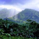 4x4 Tour  Culture, Crafts and Agritourism in Raiatea - Why This Tour Offers Great Value