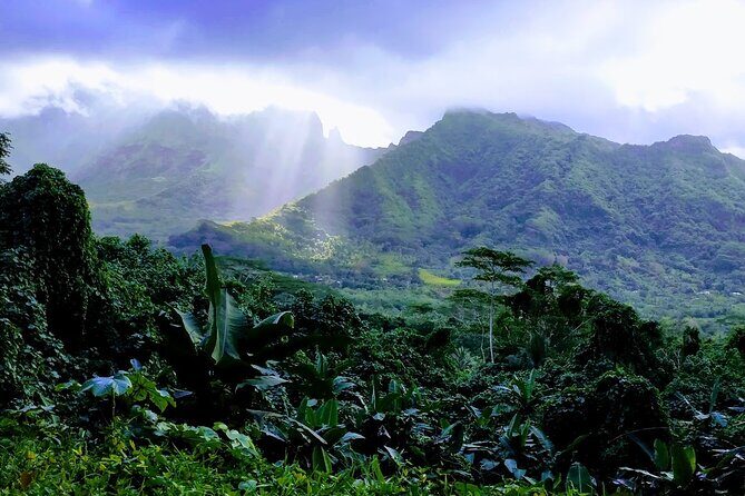 4x4 Tour  Culture, Crafts and Agritourism in Raiatea - Why This Tour Offers Great Value