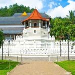 5 Days and 4 Nights Private Tour in Kandy Bentota and Colombo - Exploring the Highlights of the Tour